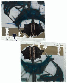 Double Rorschach, Raaf van der Sman